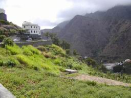 Resize of P21010145.JPG